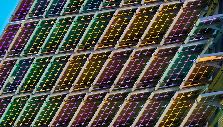 Региональное распределение и конкурентный ландшафт